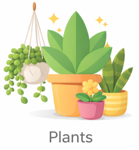 Plants